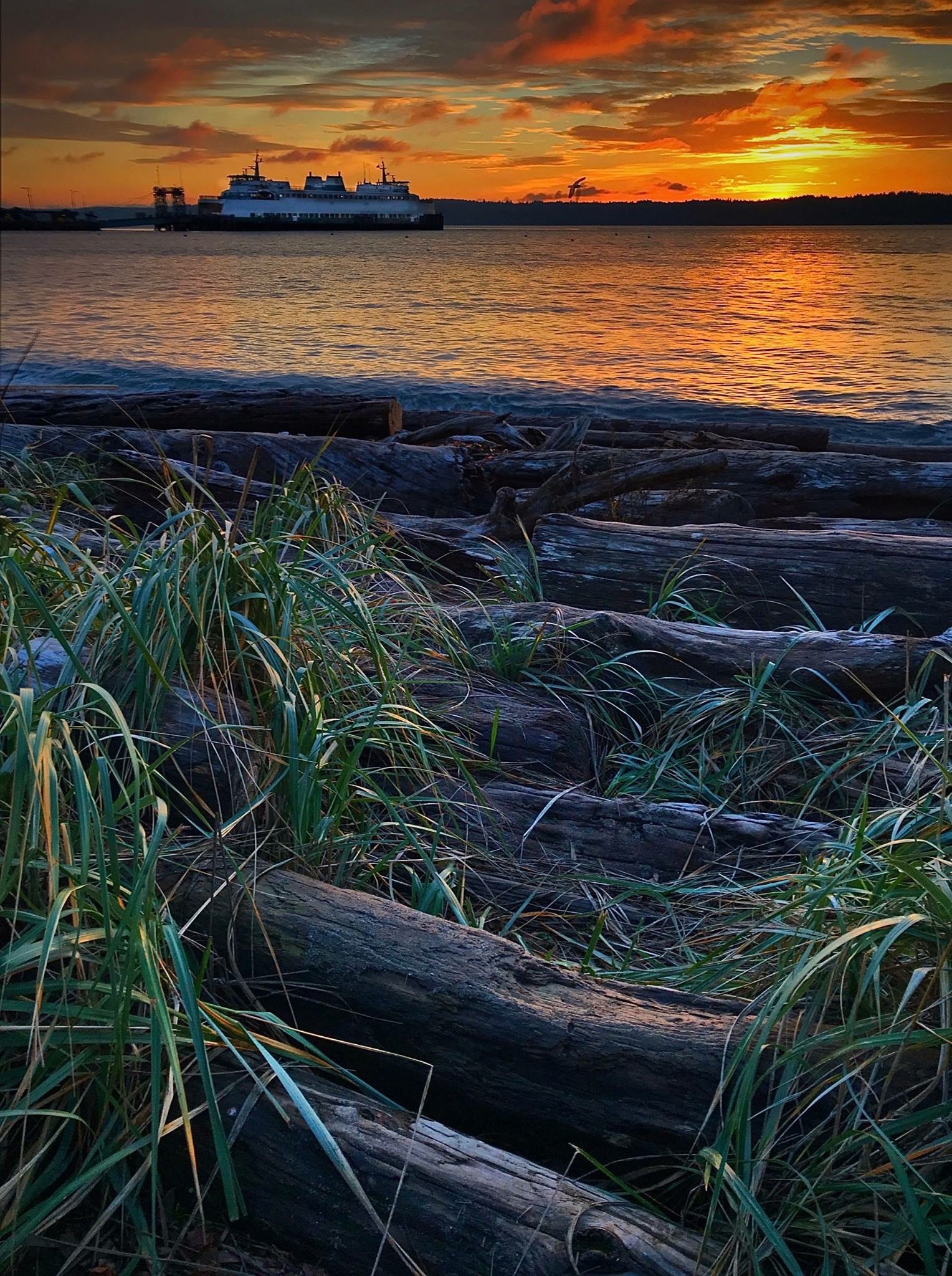 Fauntleroy Southworth Ferry - m6k4932